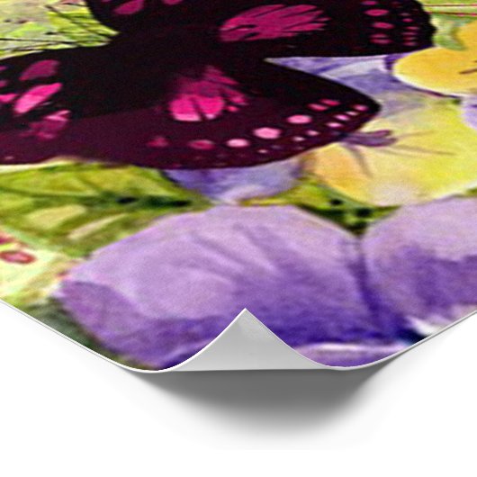 Schmetterlinge Poster (Ecke)