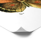 Schmetterlinge Poster (Ecke)