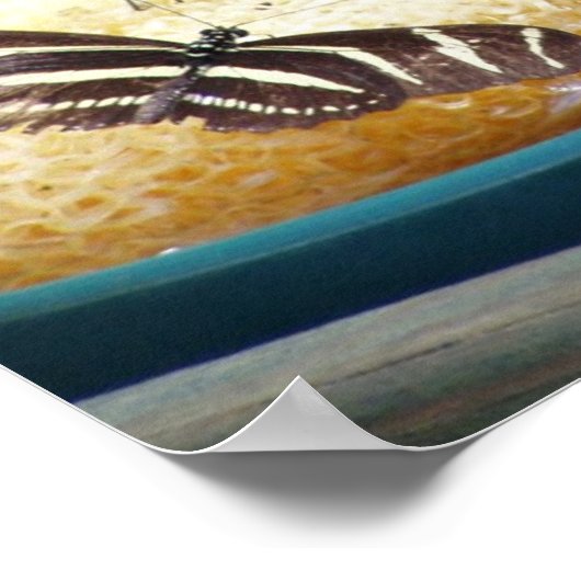 Schmetterlinge Poster (Ecke)