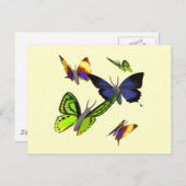 Schmetterlinge Postkarte (Vorne/Hinten)