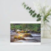 Schmetterlinge Postkarte (Stehend Vorderseite)