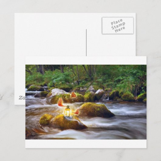 Schmetterlinge Postkarte (Vorne/Hinten)