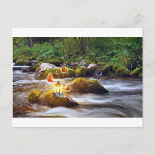 Schmetterlinge Postkarte (Vorderseite)