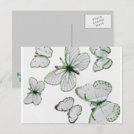 Schmetterlinge Postkarte (Vorne/Hinten)