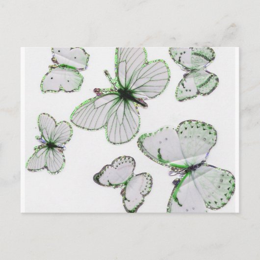 Schmetterlinge Postkarte (Vorderseite)