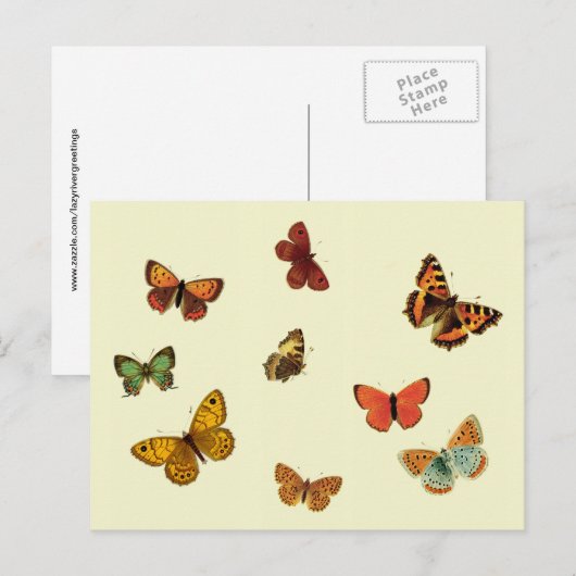 Schmetterlinge Postkarte (Vorne/Hinten)