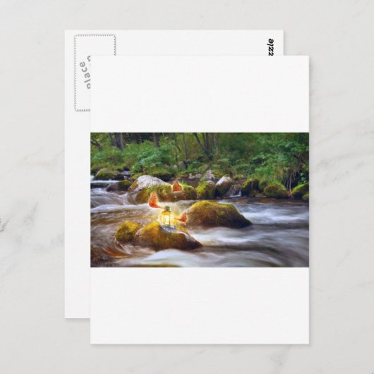 Schmetterlinge Postkarte (Vorne/Hinten)