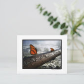 Schmetterlinge Postkarte (Stehend Vorderseite)