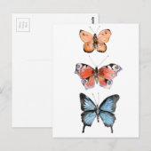 Schmetterlinge Postkarte (Vorne/Hinten)