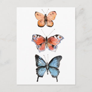 Schmetterlinge Postkarte