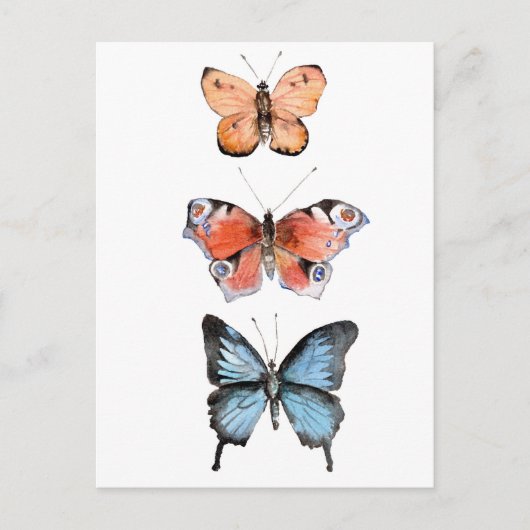Schmetterlinge Postkarte (Vorderseite)