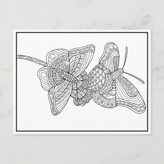 Schmetterlinge Postkartendesign - Farbkarte Postkarte (Vorderseite)