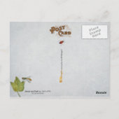 Schmetterlinge, Raupe und Früchte Postkarte (Rückseite)