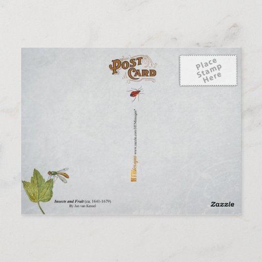 Schmetterlinge, Raupe und Früchte Postkarte (Rückseite)