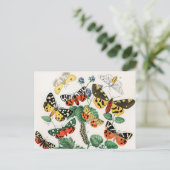 Schmetterlinge, Raupen von William Forsell Kirby Postkarte (Stehend Vorderseite)