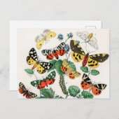 Schmetterlinge, Raupen von William Forsell Kirby Postkarte (Vorne/Hinten)