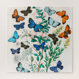 Schmetterlinge, Raupen von William Forsell Kirby Puzzle