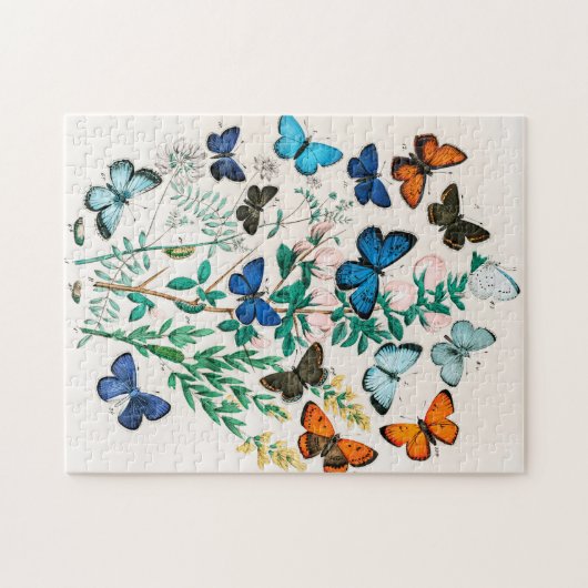 Schmetterlinge, Raupen von William Forsell Kirby Puzzle (Horizontal)