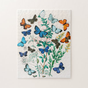 Schmetterlinge, Raupen von William Forsell Kirby Puzzle