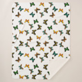Schmetterlinge Sherpadecke (Vorderseite)