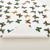 Schmetterlinge Sherpadecke (3/4)