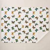 Schmetterlinge Sherpadecke (Vorderseite (Horizontal))