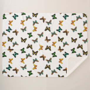 Schmetterlinge Sherpadecke