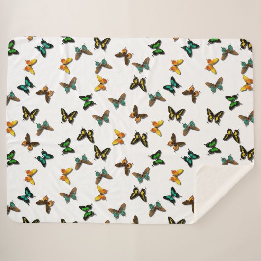 Schmetterlinge Sherpadecke (Vorderseite (Horizontal))