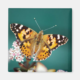 Schmetterlinge sind frei magnet