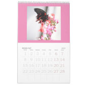 Schmetterlinge sind noch frei - ein Kalender 2024 (Feb 2027)