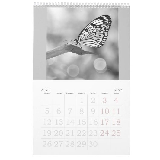 Schmetterlinge sind noch frei - ein Kalender 2024 (Apr 2027)
