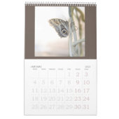 Schmetterlinge sind noch frei - ein Kalender 2024 (Jan 2027)