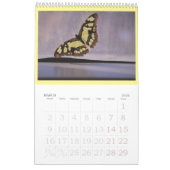 Schmetterlinge sind noch frei - ein Kalender 2024 (Mär 2026)