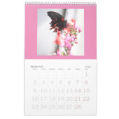 Schmetterlinge sind noch frei - ein Kalender 2024 (Feb 2026)