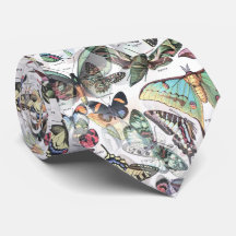 Schmetterlinge Sommer, Natur