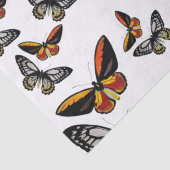 Schmetterlinge überall, die Papier verpacken (Detail)