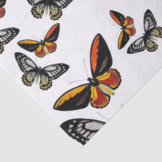 Schmetterlinge überall, die Papier verpacken (Detail)