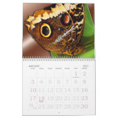 Schmetterlinge und Bienen Kalender (Jan 2027)