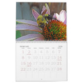 Schmetterlinge und Bienen Kalender (Feb 2026)