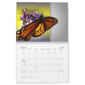 Schmetterlinge und Bienen Kalender (Mär 2026)