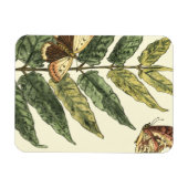 Schmetterlinge und Blätter mit schwarzem Rahmen Magnet (Horizontal)