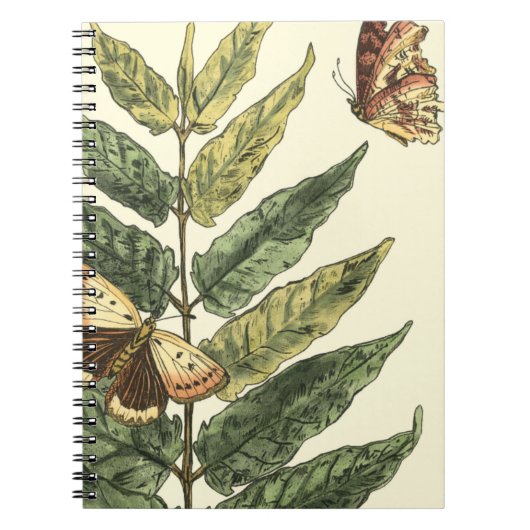 Schmetterlinge und Blätter mit schwarzem Rahmen Notizblock (Vorderseite)