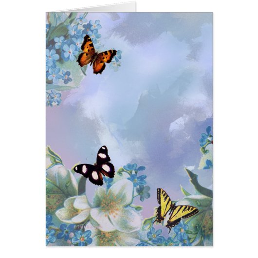 Schmetterlinge und Blues (Vorne)