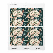 Schmetterlinge und Blume (Vorne)