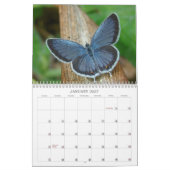 Schmetterlinge und Blume Kalender (Jan 2027)