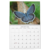Schmetterlinge und Blume Kalender (Jan 2026)
