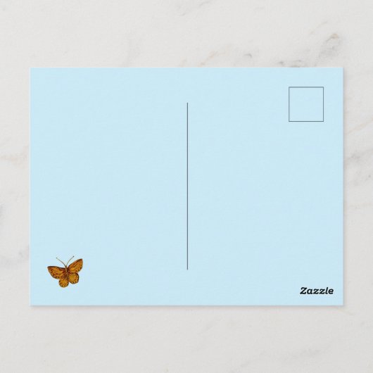 Schmetterlinge und Blume Postkarte (Rückseite)
