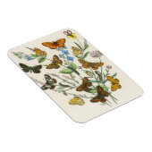 Schmetterlinge und Blume Vintage Illustration 1 Magnet (Rechte Seite)