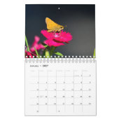Schmetterlinge und Freunde Kalender (Jan 2027)