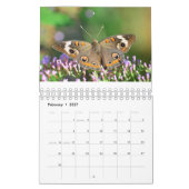 Schmetterlinge und Freunde Kalender (Feb 2027)